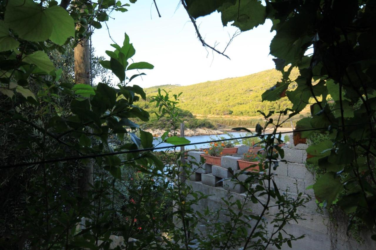 Apartments By The Sea Milna, Vis - 8913 Экстерьер фото