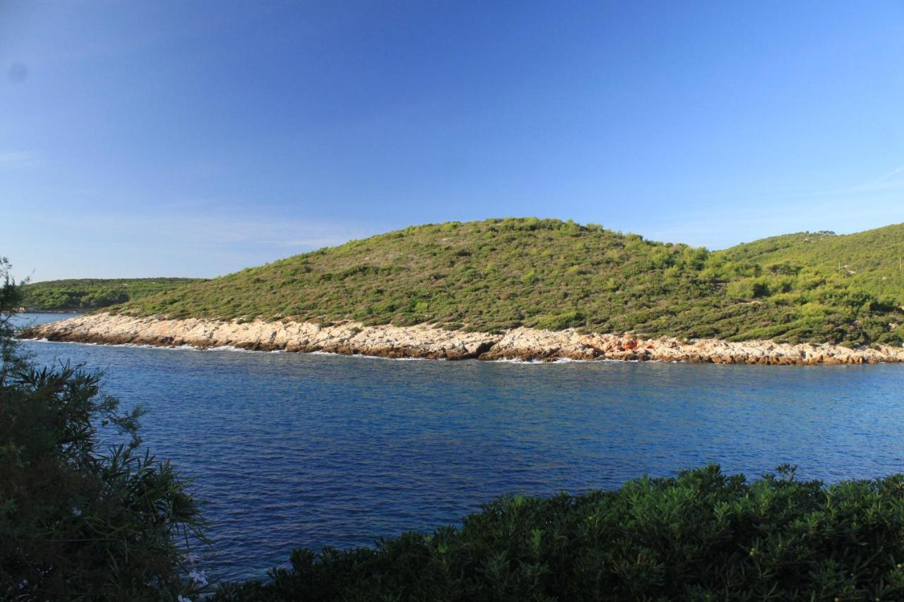 Apartments By The Sea Milna, Vis - 8913 Экстерьер фото
